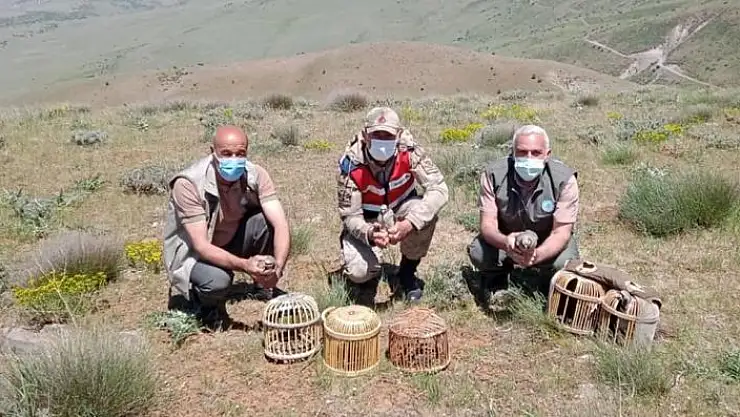 'Elazığ´da kaçak avda yakalanan 3 şahsa işlem yapıldı'