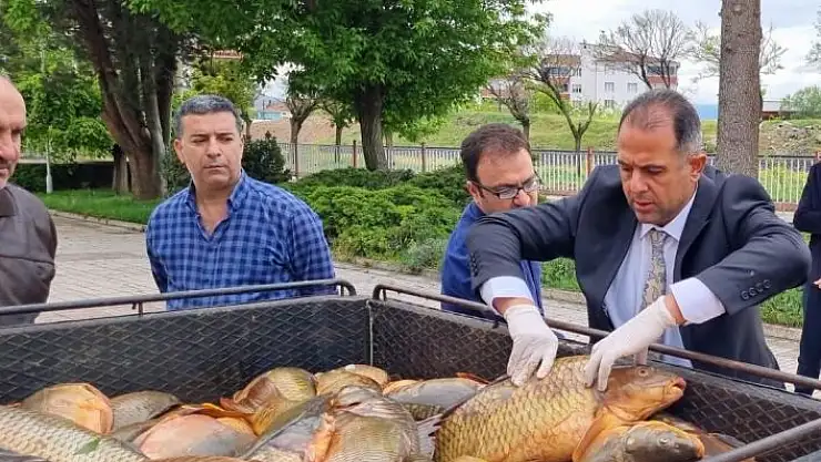 'Elazığ´da kaçak avlanan 500 kilogram balık yakalandı'