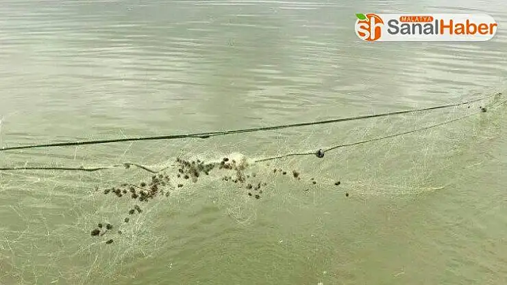 Elazığ'da kaçak balık avı ile mücadele