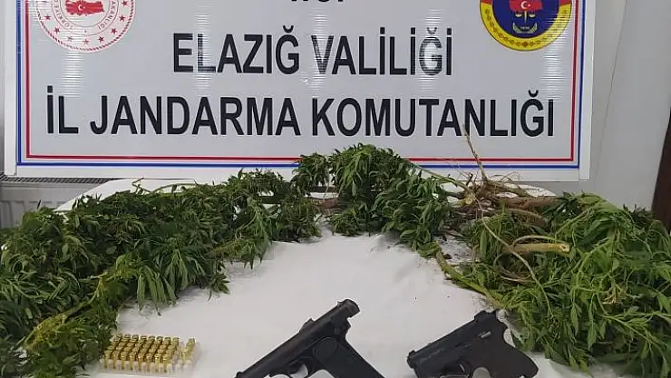 'Elazığ´da kenevir eken şüpheli yakalandı'