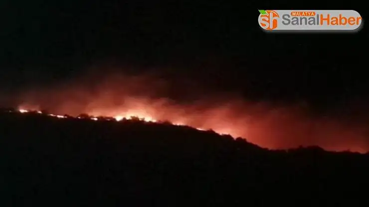 Elazığ'da orman yangını