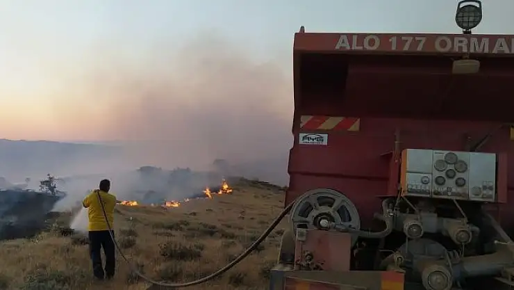'Elazığ´da örtü yangını: 170 dönümlük alan zarar gördü'
