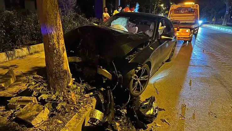 'Elazığ´da otomobil ağaca çarptı: 1 yaralı'