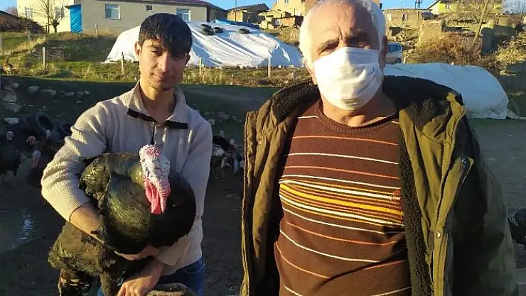 'Elazığ´da pandemi ve yasaklar hindiye talebi azalttı'