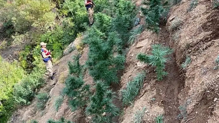 'Elazığ´da uyuşturucu operasyonu'