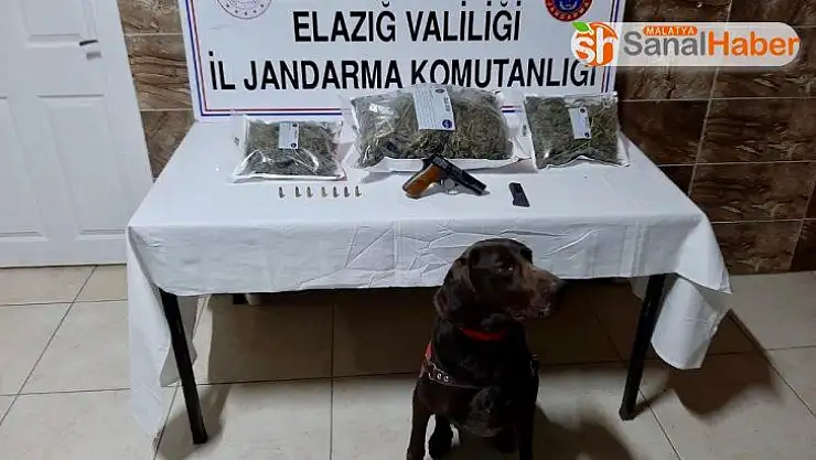 Elazığ'da uyuşturucu operasyonu:2 gözaltı