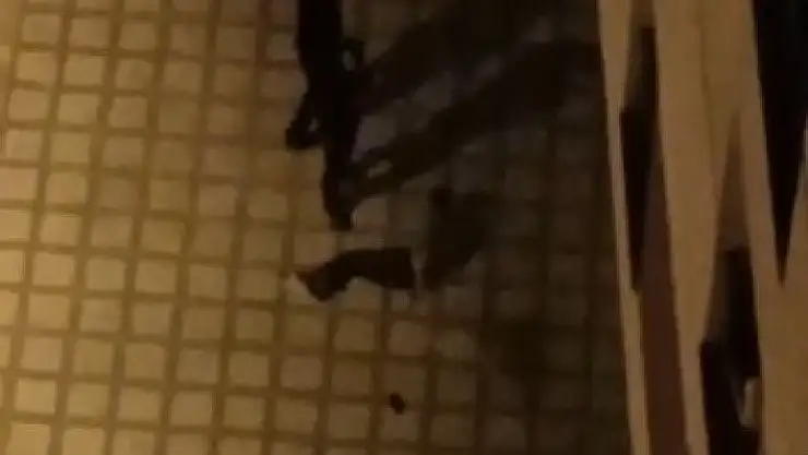 'Elazığ´da uyuşturucu taciri, bekçiler tarafından kıskıvrak yakalandı'