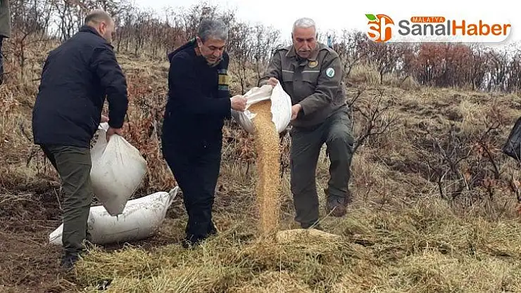 Elazığ'da yaban hayvanları için doğaya yem bırakıldı
