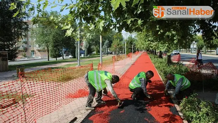 Elazığ'da yürüyüş yollarında yenileme çalışması