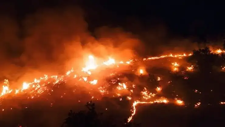 'Elazığ´daki örtü yangını rüzgarın etkisiyle yeniden alevlendi'