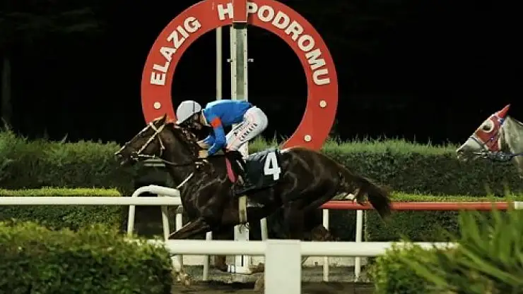 'Elazığ Üzüm Festivali Koşusu Pamukkale´nin'