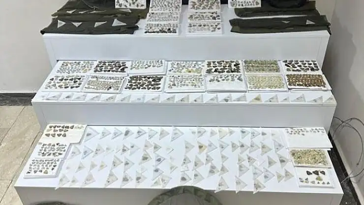 'Elazığda endemik olduğu değerlendirilen bin 472 adet kelebek ele geçirildi'