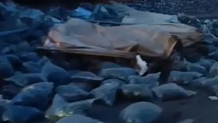 'Elazığda kömür yüklü tır devrildi: 1 yaralı'