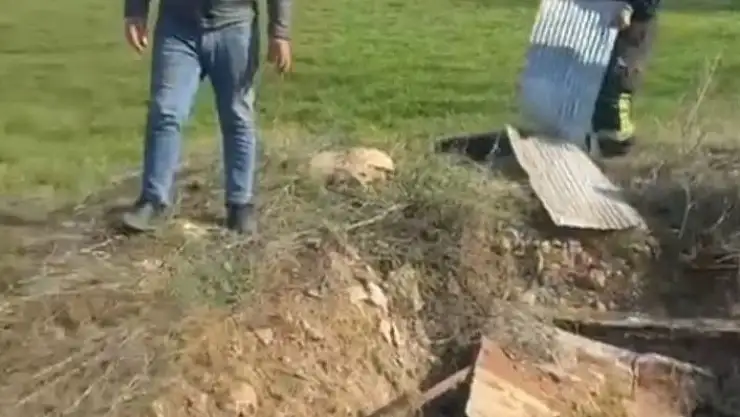 'Elazığda kuyuya düşen ineği itfaiye kurtardı'