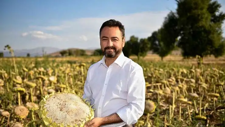 'Elbistan´da 19 bin ton ayçiçeği üretiliyor'