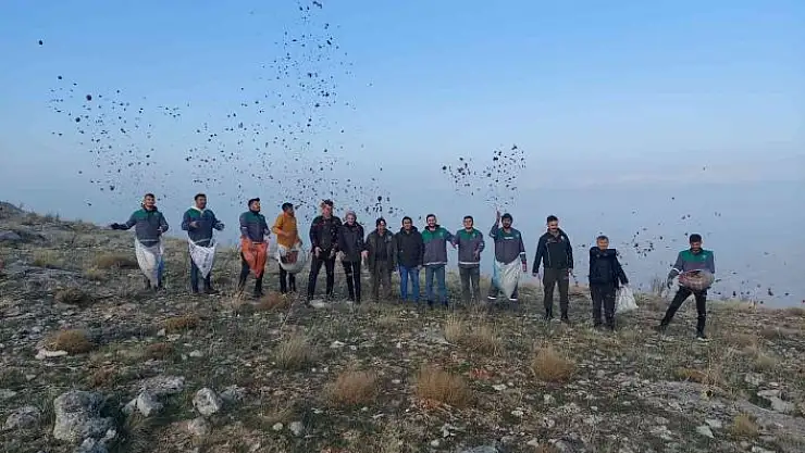 'Elbistan´da, doğada bin yıl yaşayan sedir ağacı tohumları toprakla buluştu'