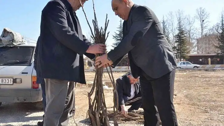 'Elbistan´da üreticilere 6 bin 300 adet ceviz fidanı dağıtıldı'