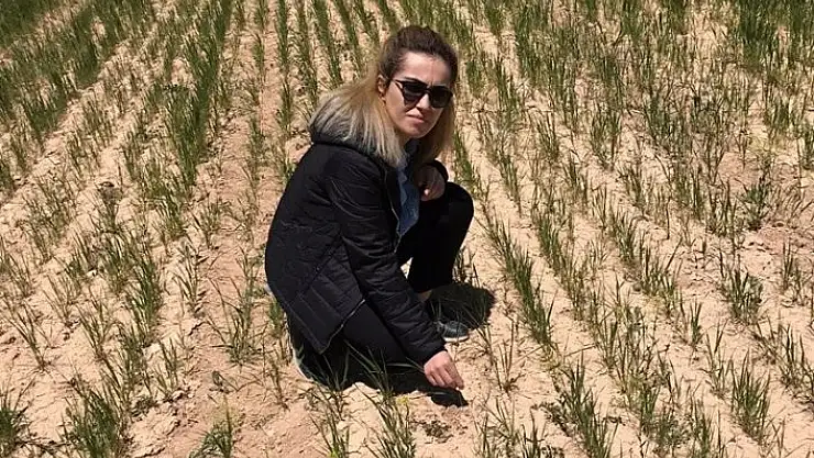 'Elbistan´da zirai donun yol açtığı hasarın tespitine başlandı'