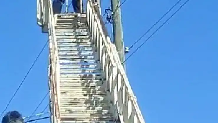 'Elektrik direğinde mahsur kalan kedi kurtarıldı'