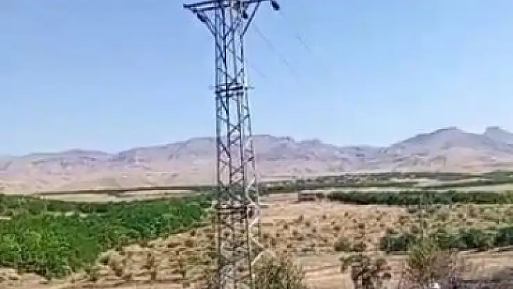 'Elektrik direğinden çıkan kılvılcım 5 dönümlük bahçeyi  kül etti'