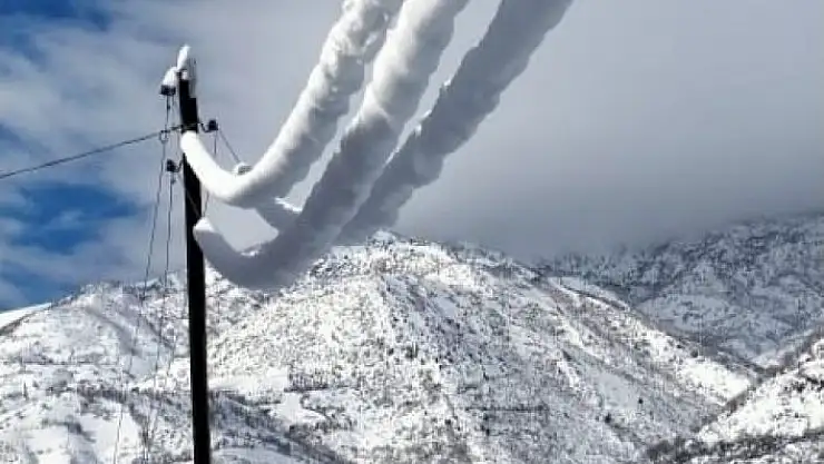 'Elektrik telleri karla kaplandı'