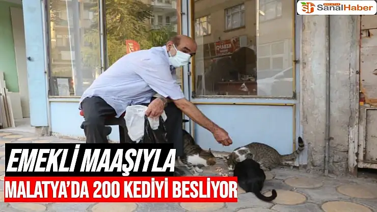 Emekli maaşıyla Malatya´da 200 kediyi besliyor