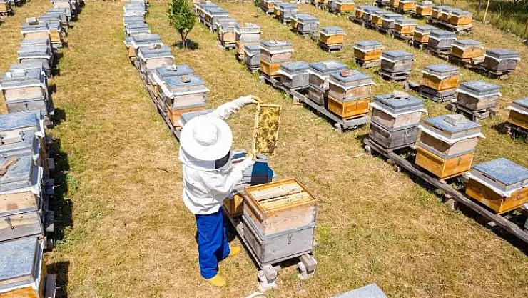'En tatlı destek, tonlarca bala dönüştü'
