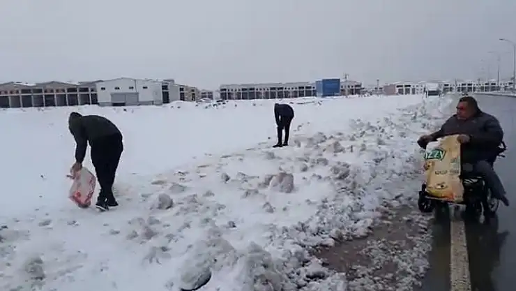 'Engelli aracına binip sokak hayvanlarına mama bıraktı'