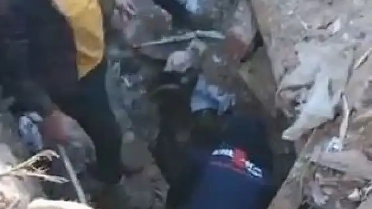 'Enkaz altından çıkartılan 14 günlük buzağı koruma altına alındı'
