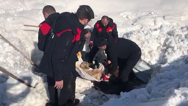'Enkazın altındaki köpek kurtarıldı'