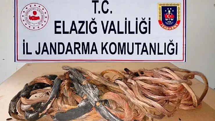 'Erzurum´da çaldılar Elazığ´da yakalandılar'