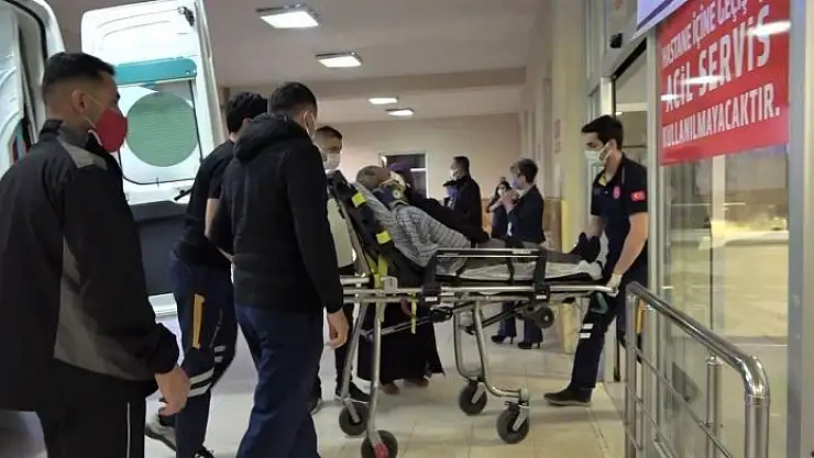 'Eşeğin saldırısına uğrayan yaşlı adam yaralandı'