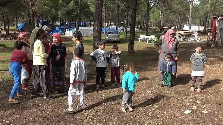 'Evleri yıkılan aileler ormanı mesken tuttu: ''Kendimizi burada güvende hissediyoruz'''