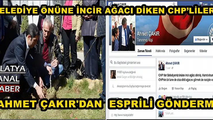  BELEDİYE ÖNÜNE İNCİR AĞACI DİKEN CHP´LİLERE ESPRİLİ GÖNDERME
