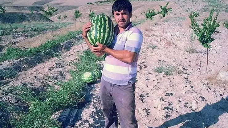 Geçimlerini Karpuzdan Sağlıyorlar