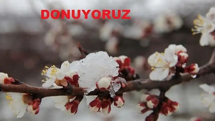 MALATYA VE ELAZIĞ'DA ZİRAİ DON UYARISI!