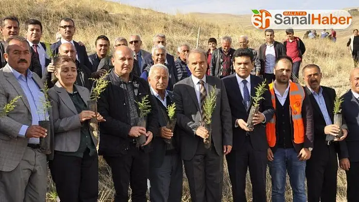 Fidan dikme kampanyası