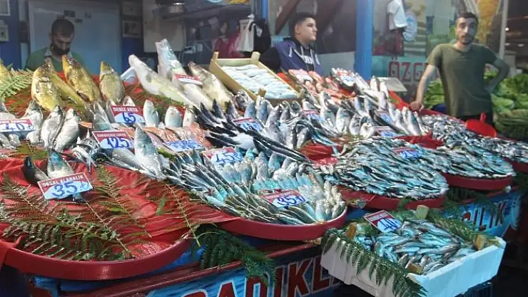 'Fiyatlardaki düşüş, balıkçıların yüzünü güldürdü'
