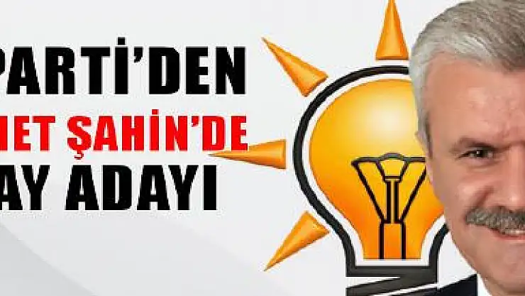 Mehmet ŞAHİN görevinden istifa etti ve...
