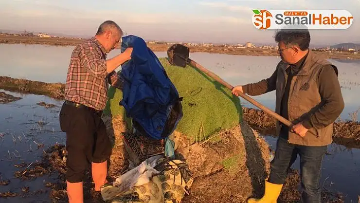 Güme ile yasa dışı ördek avına geçit yok