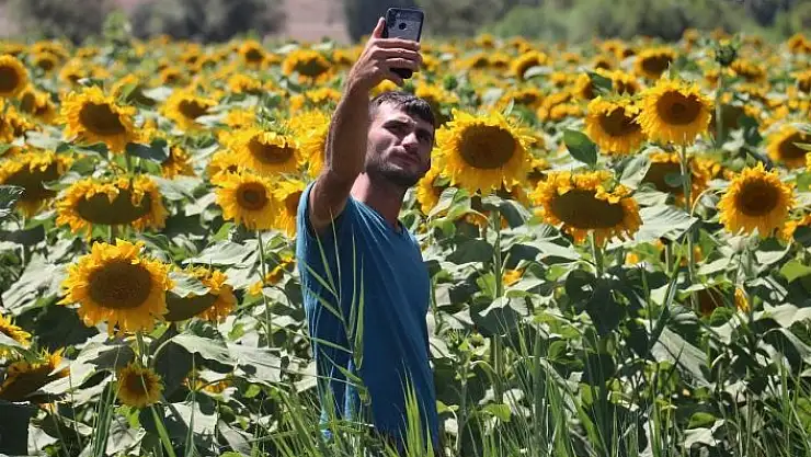 'Güne bakanlar başkaldırdı, ortaya bu manzara çıktı'