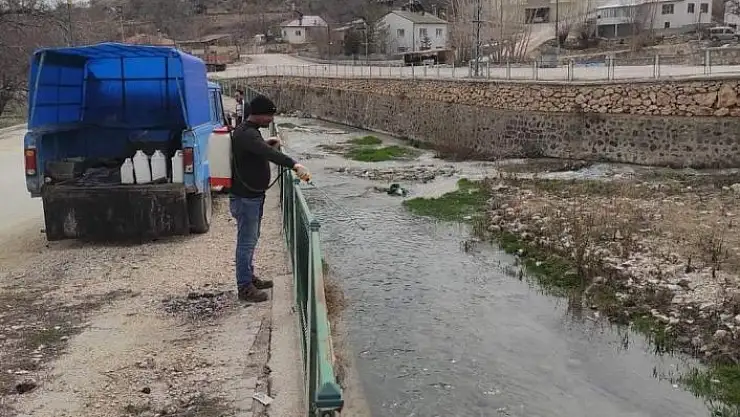 'Gürün´de larvalara karşı ilaçlamalar başladı'