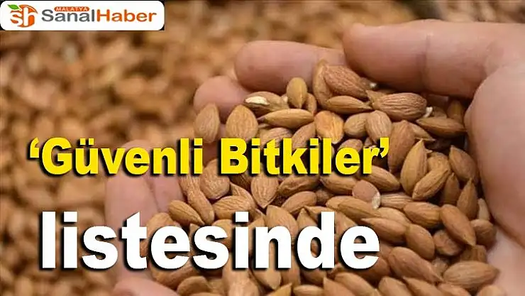Güvenli Bitkiler listesinde