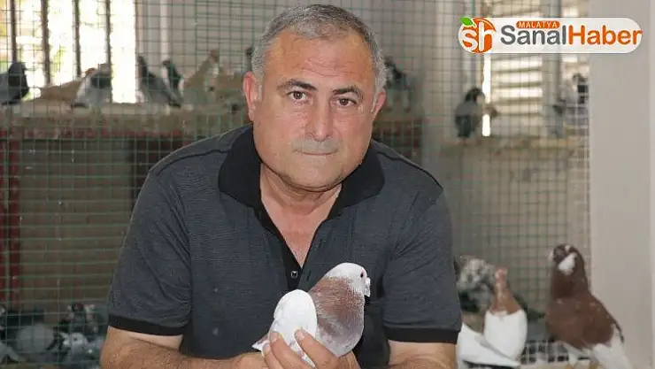 Güvercin sevgisi sınır tanımıyor