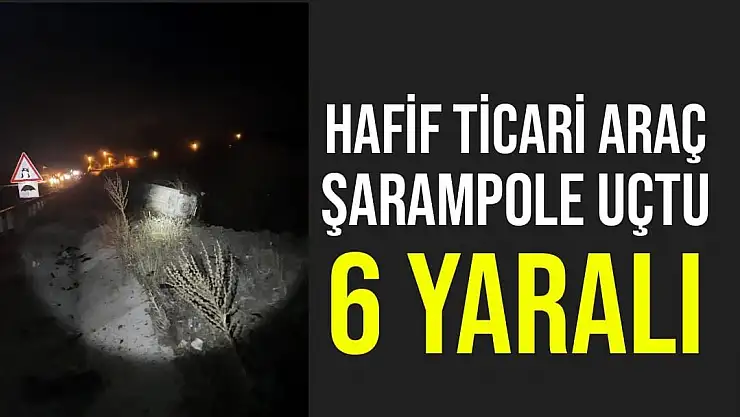 Hafif ticari araç şarampole uçtu: 6 yaralı