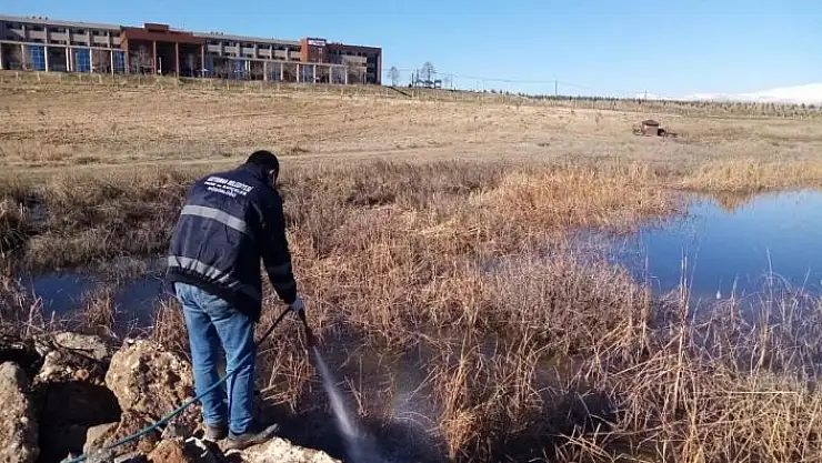 'Haşere ilaçlaması başladı'