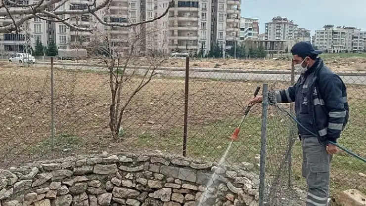 'Haşereden uzak bir yaz mevsimi için çalışılıyor'