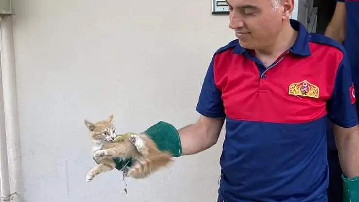 'Havalandırma boşluğundaki kedi kurtarıldı'
