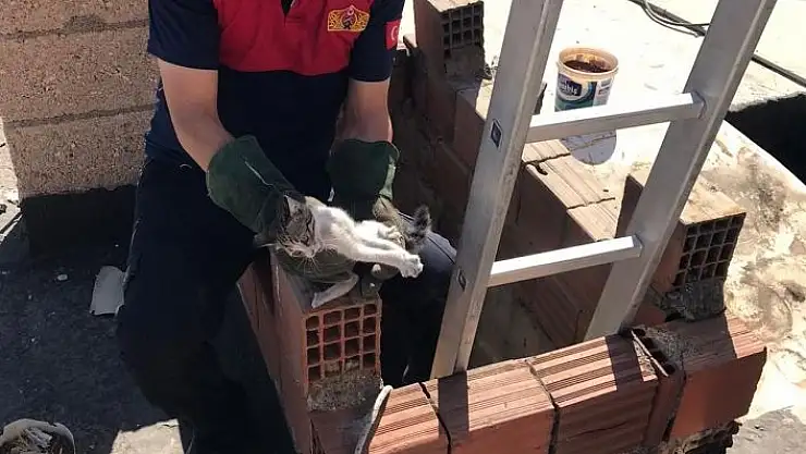 'Havalandırmaya düşen kedi kurtarıldı'