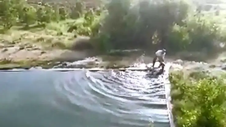 'Havuza düşen ineği vatandaş kurtardı'